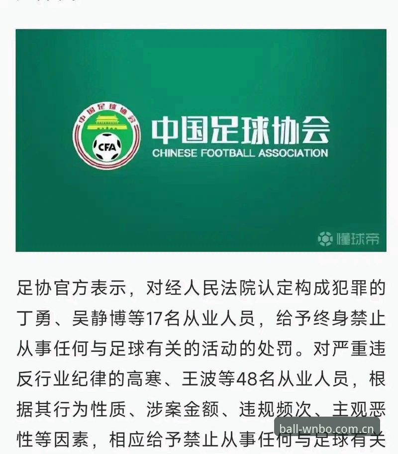 中国足协第三批禁足名单详解：17人终身禁赛，48人面临行业重罚
